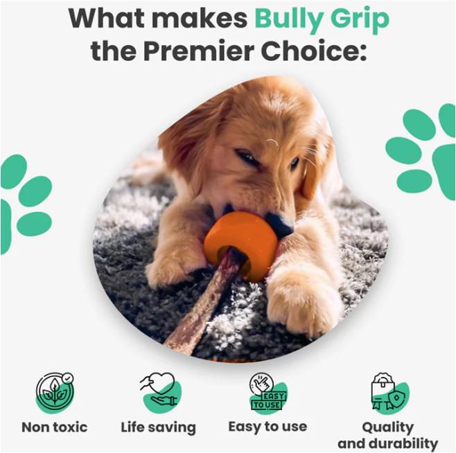 Bully Stick Holder – Medium Size Chew Resistant  Fits Treat Sticks from 5/8" to 7/8" Wide, Non-Toxic Rubber Dog Toy & Safety Device